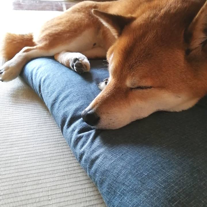 Eecafe63 9a80 4720 9348 c34b57d73353 1648038682315