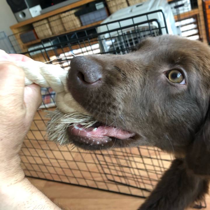 Eecb1f37 757f 495a 8071 b09b2b31503f 1555886955626