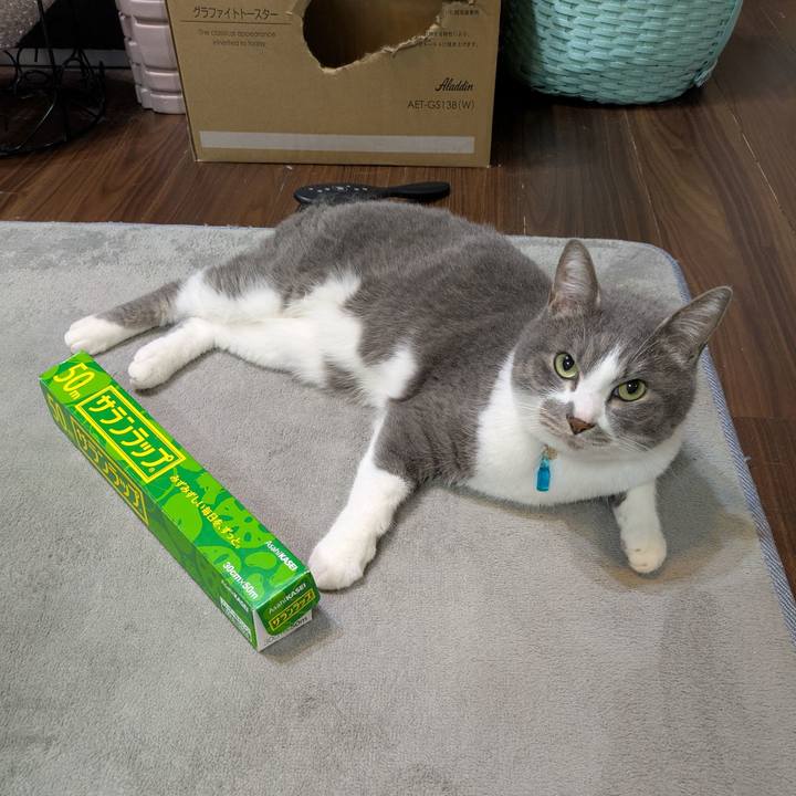 Eecb4816 4bed 45aa a073 bdfba748926a 1744632052818