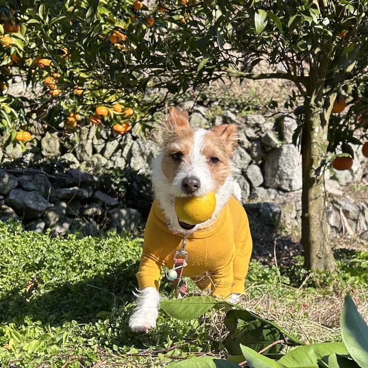 Eecb5fca 749f 4773 86ca 39925a0e76eb 1767939055353