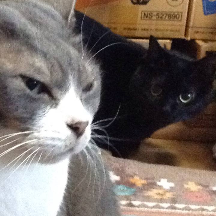 Eecbac39 cd3f 4726 a60b 3c733c9347fb 1542959747577