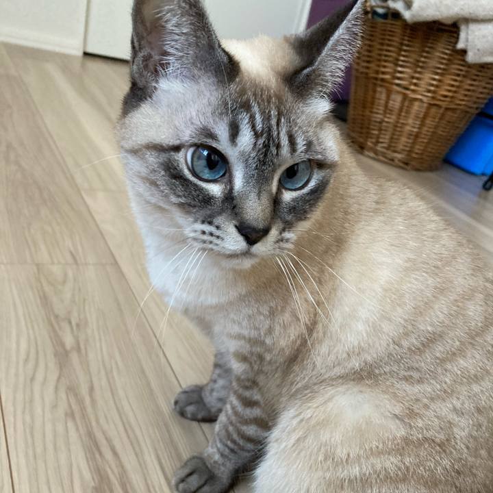 Eecbbdad 8d90 4cec 8ccb f16ee871788f 1769061818213