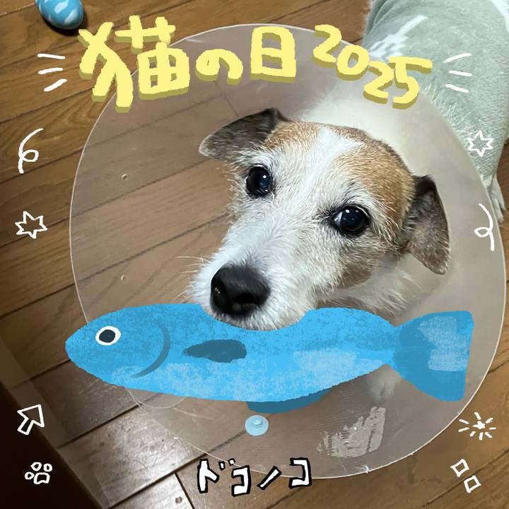 Eecc0924 130c 4047 9aa6 22f4409075a2 1740186563351