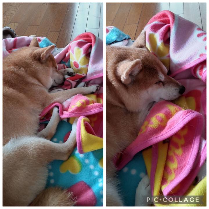 Eecc13d4 9e55 4cc8 8083 f39caa9e8719 1762401396567