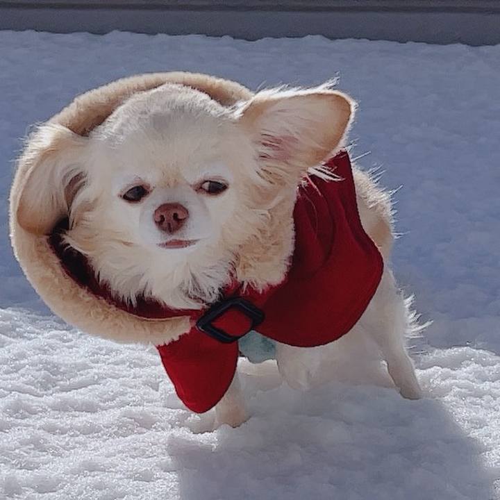 Eecc6bc2 b558 4912 973a 6b7c9c5d7073 1767402846198