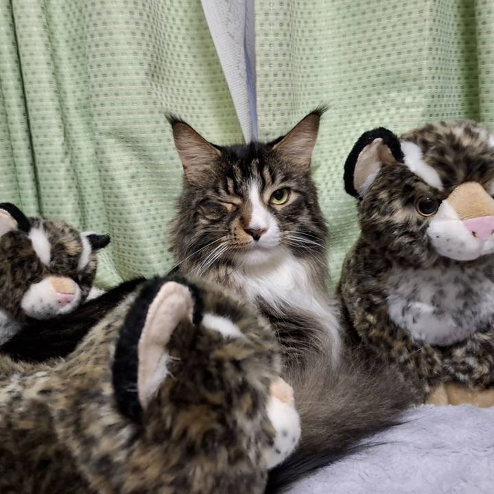 Eecc9f94 8775 4382 b8b4 cb96561954bc 1746182976451