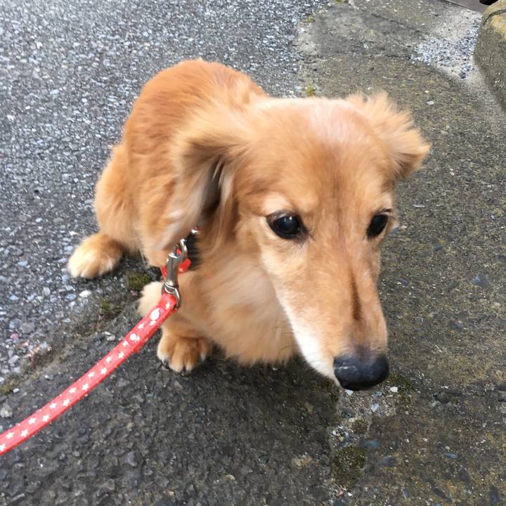 Eeccd8c1 d31a 47eb aa41 174baeba78b8 1632832968889