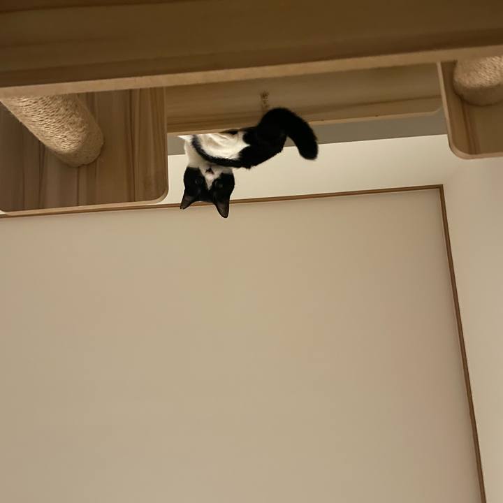 Eecce1dd ef98 40bb a2ec e44264a83190 1750687900621