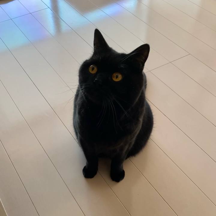 Eecd096f c2e2 48ba a384 b9fb49aa89d6 1612055807615