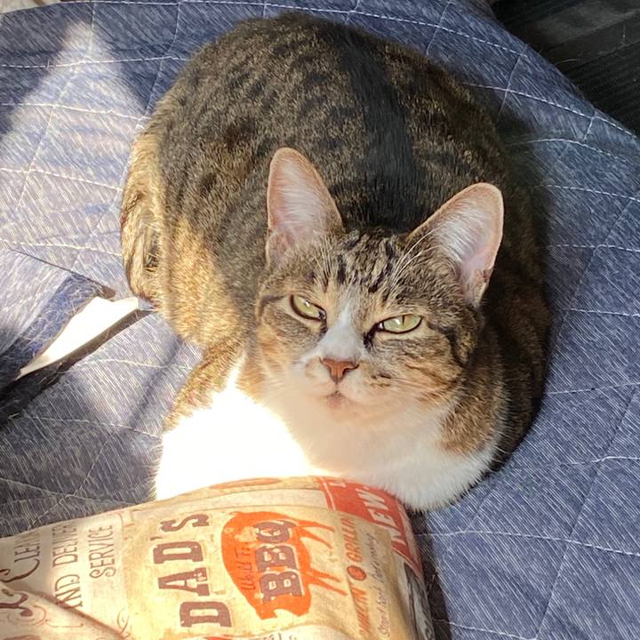 Eecd0bb2 5ad8 4964 9162 d266e5f0cc96 1586392192404