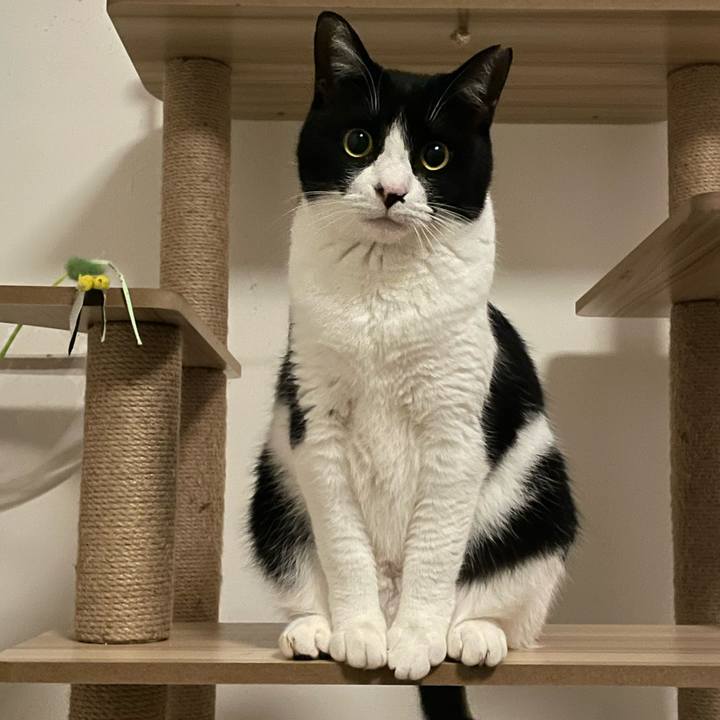 Eecd344a ba41 46d5 97d1 c43b3cf5797a 1737655168286