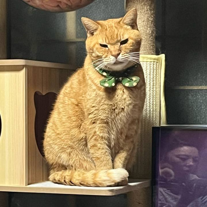 Eecd532d bd10 4053 9336 1f49a2e1bdea 1765801101466