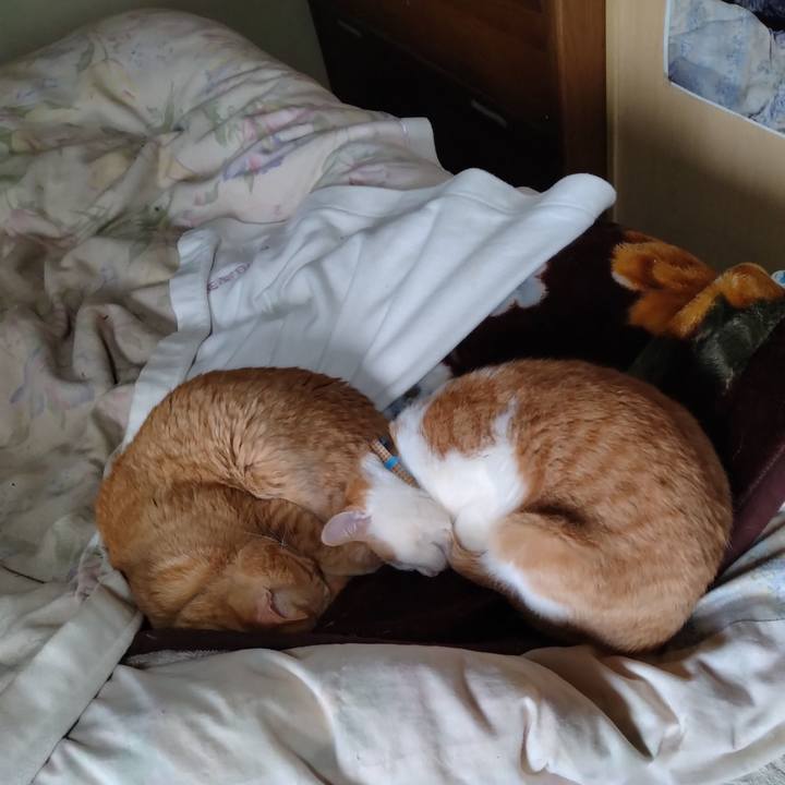 Eecd64ee 25f8 41b1 b151 8a6fa3d87bd1 1744584925674