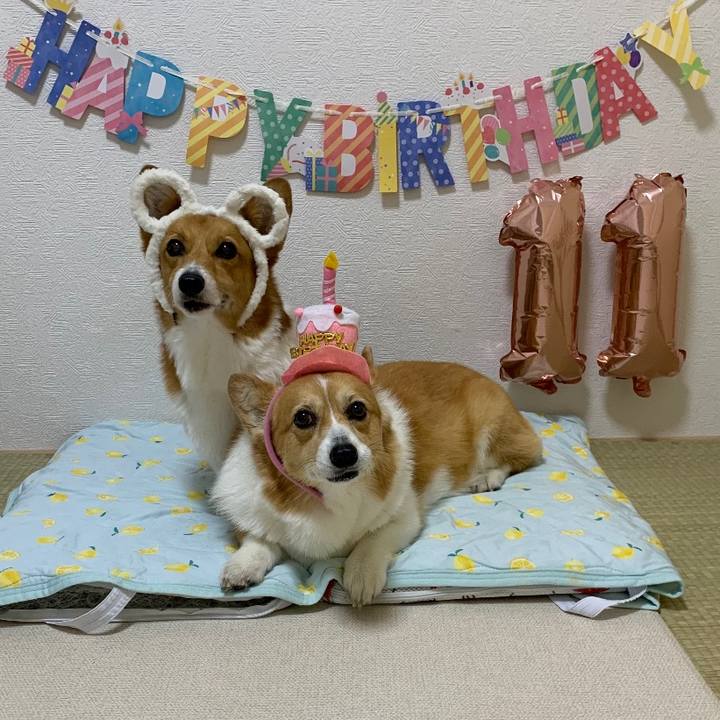 Eecde56d d5d6 4ade a99c 8754cfa101f5 1684415263460