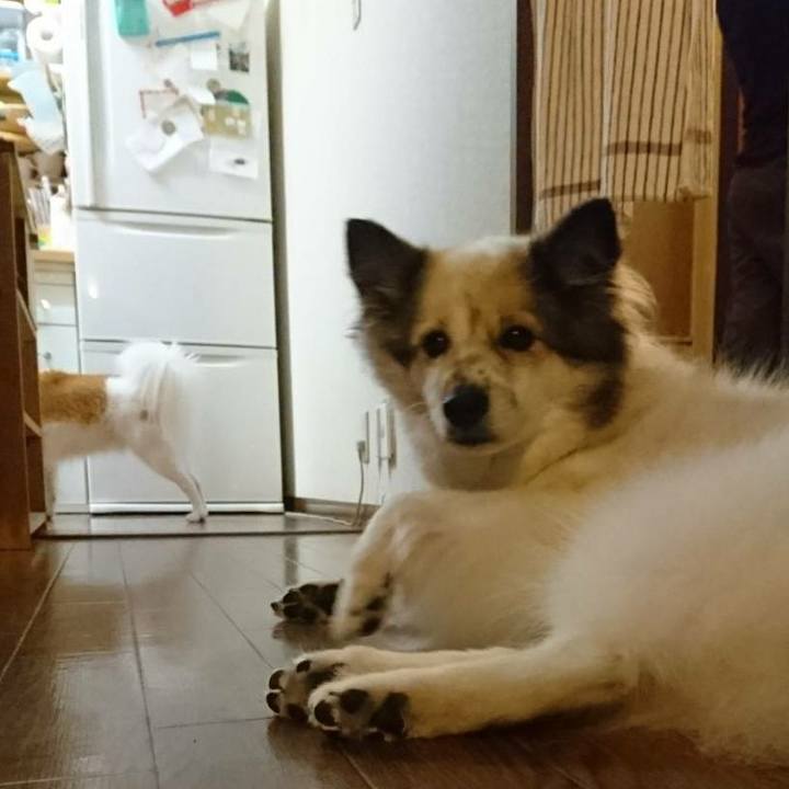 Eece016d 68a4 4a7a 95cc 00f24f2ec3e4 1571142868430