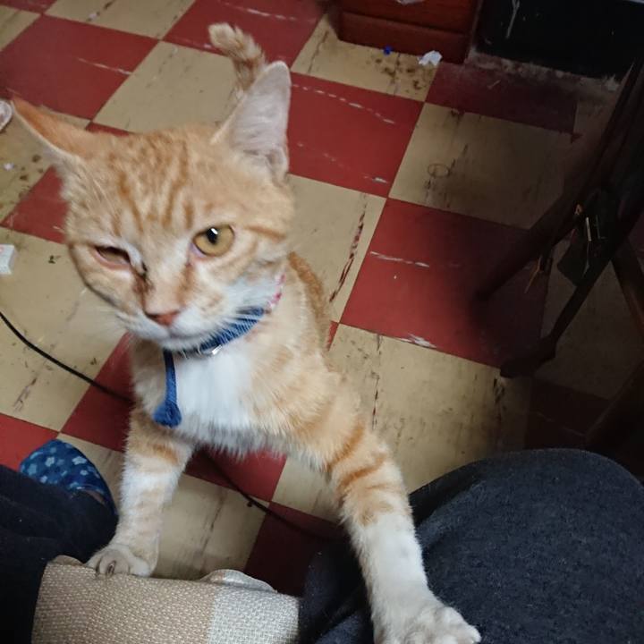 Eece0254 0746 45c1 8db3 5c3b46d9c054 1558838788160