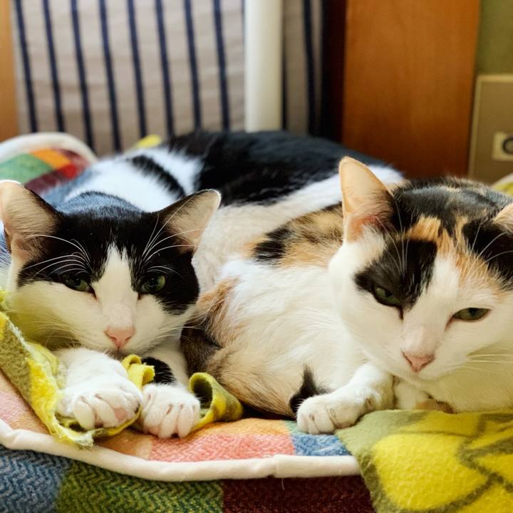 Eece1e70 9583 488e a494 386d373e48f1 1542333979089