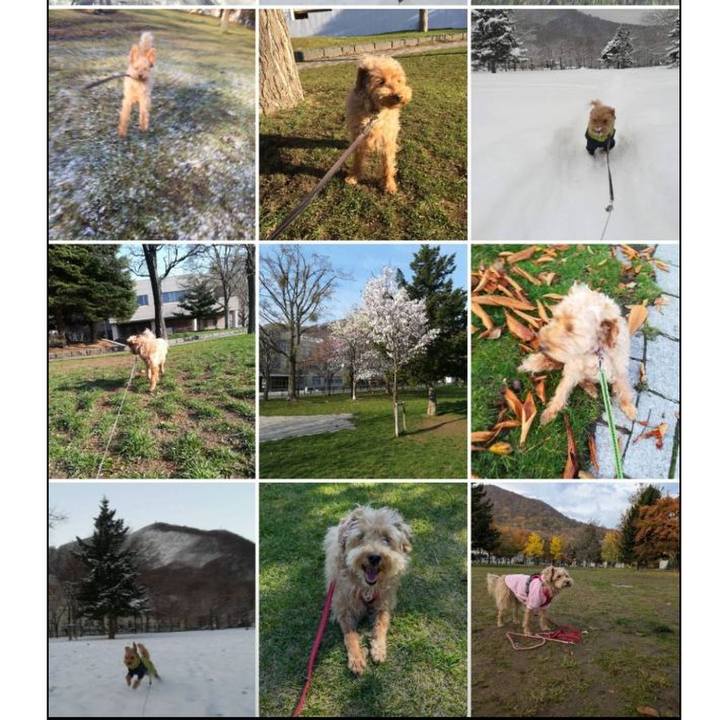 Eece2e04 060b 40c0 9bab 66bc17f56cd7 1757593338470