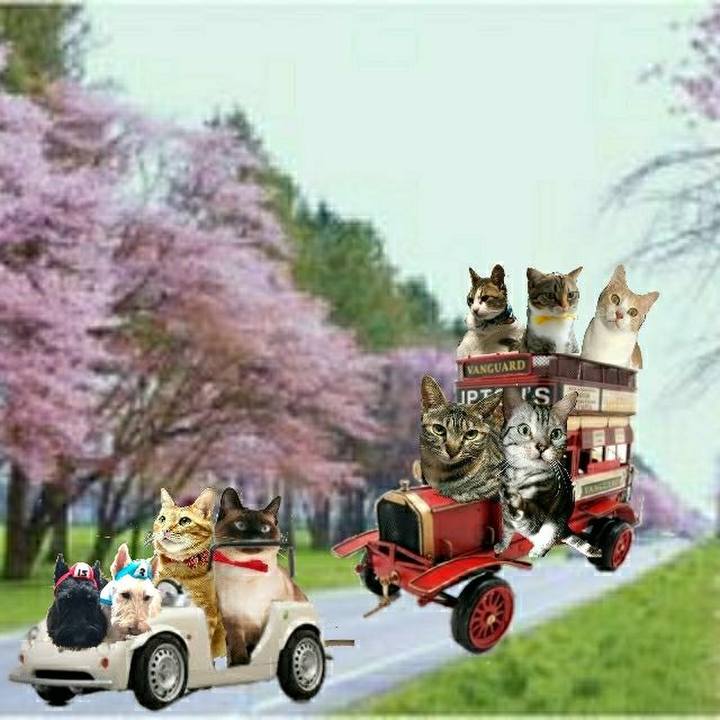 Eece3d61 5610 4c33 992a 41ad0ab054f3 1525487353978