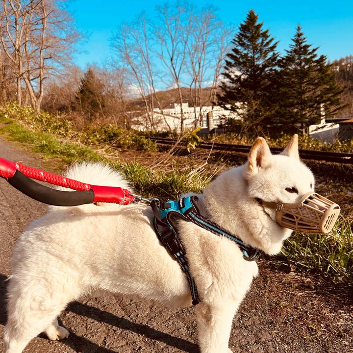 Eece57ac 4def 423f aa19 dd7597b226ce 1682312444179