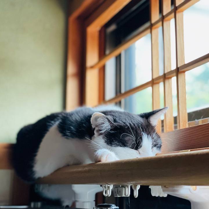 Eece676c 189c 4056 a40f c738cc06dc37 1658452130277