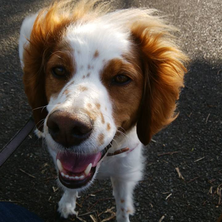 Eecea3d7 4825 4740 868b 8a3a2459533f 1526992116412