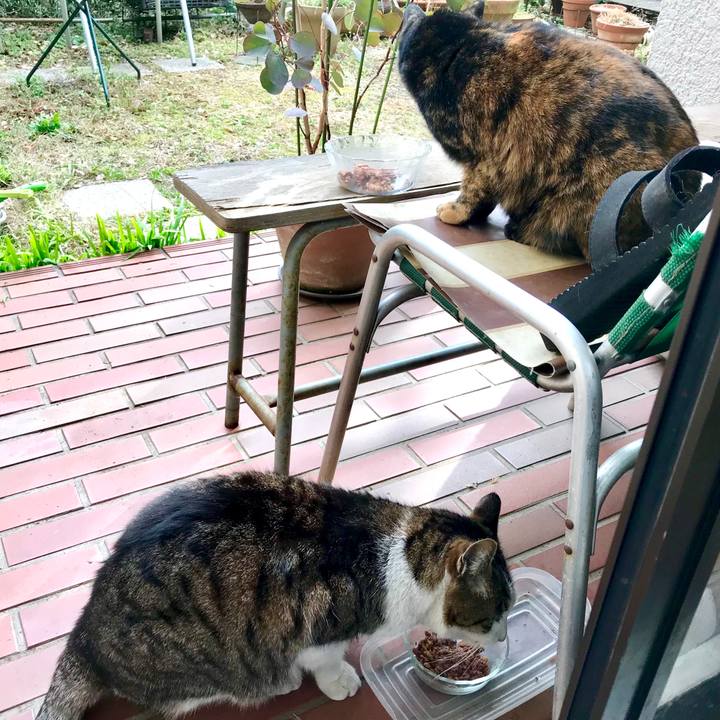 Eecec951 77d2 4d00 b1ac e059e268bd38 1519113887388