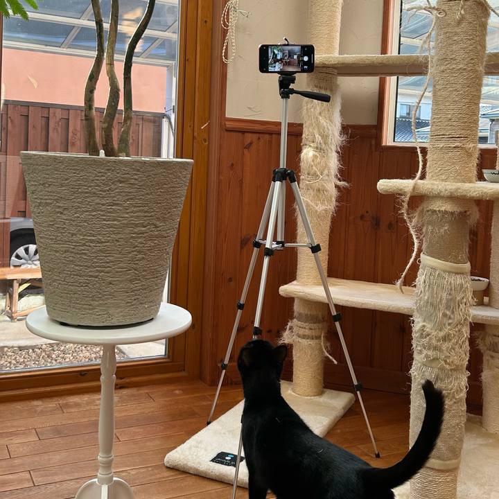 Eecee18e c8ac 4dbb a623 4902f983ca11 1671934384349