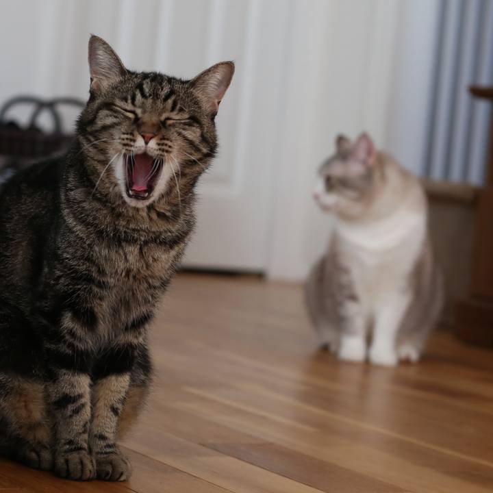 Eeceefc4 f1d5 42f6 96eb 0e7ca1a20184 1757476740290