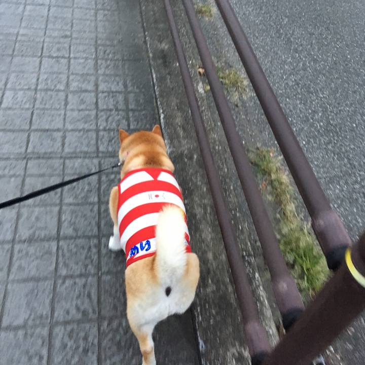 Eecefbab 4934 4454 8baa e71706207a03 1569142238566