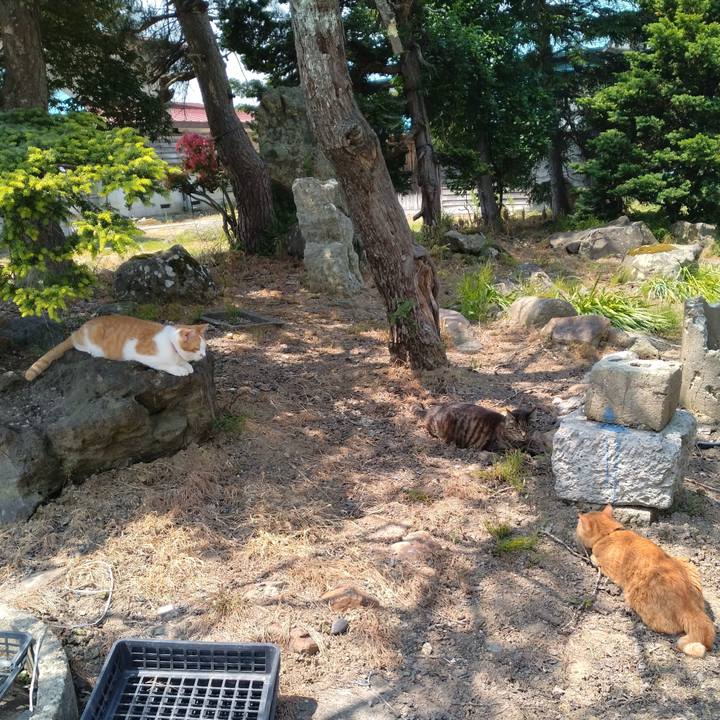 Eecf0ce2 78aa 4215 99e2 a73a596467da 1749436644695