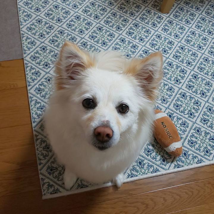 Eecf2924 8061 4d86 8e9d aa2cd3ab72ed 1652531251650