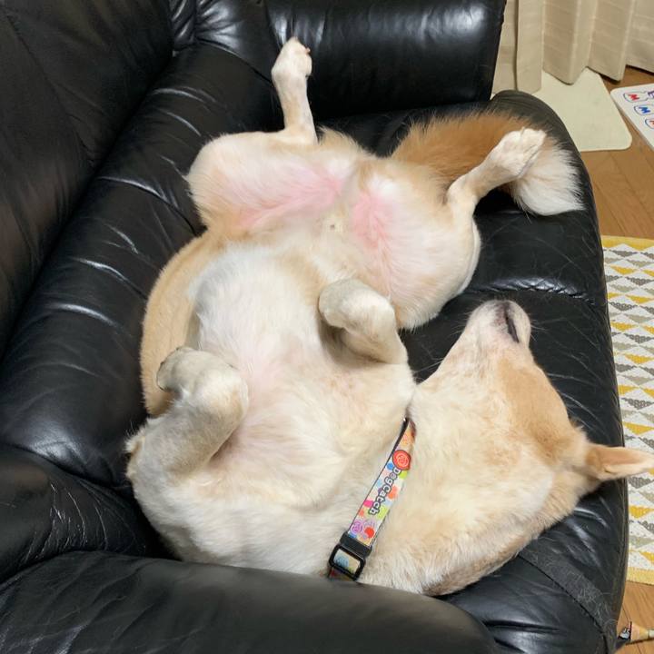 Eecf4a0d d36f 4726 a422 58dbe1501a84 1563379665647