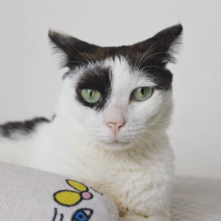 Eecf6e8d b9a6 42da 8cd3 3ad4a576a9e7 1656433464283