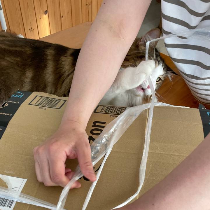 Eecf7d01 0ee2 4c05 b55c 251a053bd424 1664663496046