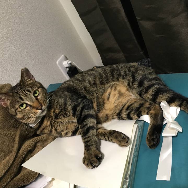 Eecf99e0 d61b 439b 8847 2a3dcf835a7a 1533381541926