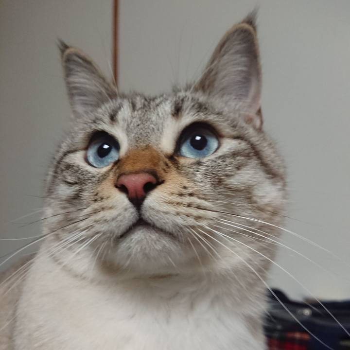 Eecfa39b 3d55 4663 ae0a 169fa29f5fe2 1550072056838