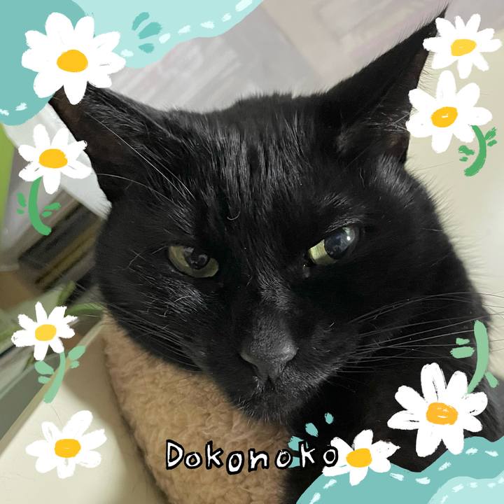 Eecfaada 0a8c 4436 bb8e 760e817f9cc7 1712410919079