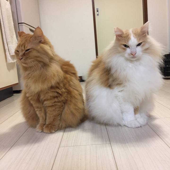 Eecfc118 f7be 4a16 a846 0f121b2010b8 1552126305179