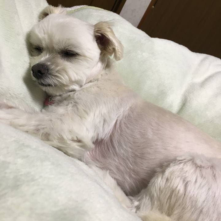 Eecfdc85 ad41 4351 9b87 5e642a86d7a8 1521120284501