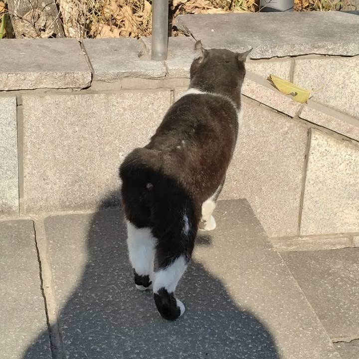 Eecfe6a2 cc06 4fa8 b841 f44e54d216f0 1705122857472