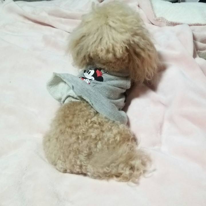 Eed00127 2182 4aa1 ba0d 457c63d7741b 1553259938475