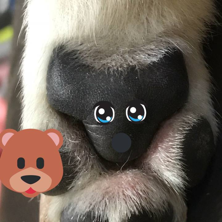 Eed04010 8e6d 430a 8c0b fc04e496cfdc 1517830757311