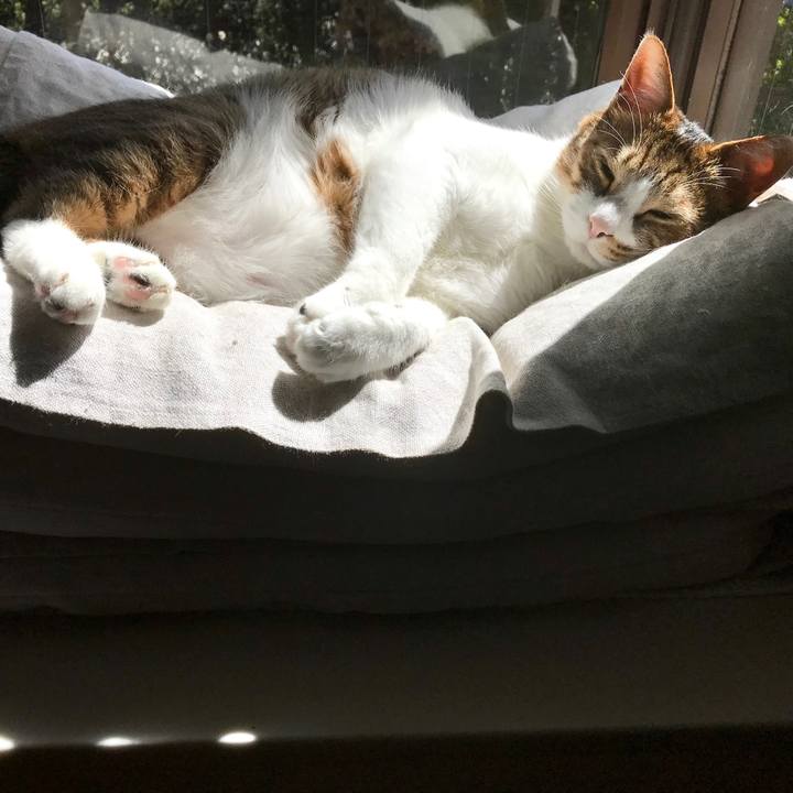 Eed04915 f8c7 4dc1 91d3 c16bd3b3ebe3 1554437855137