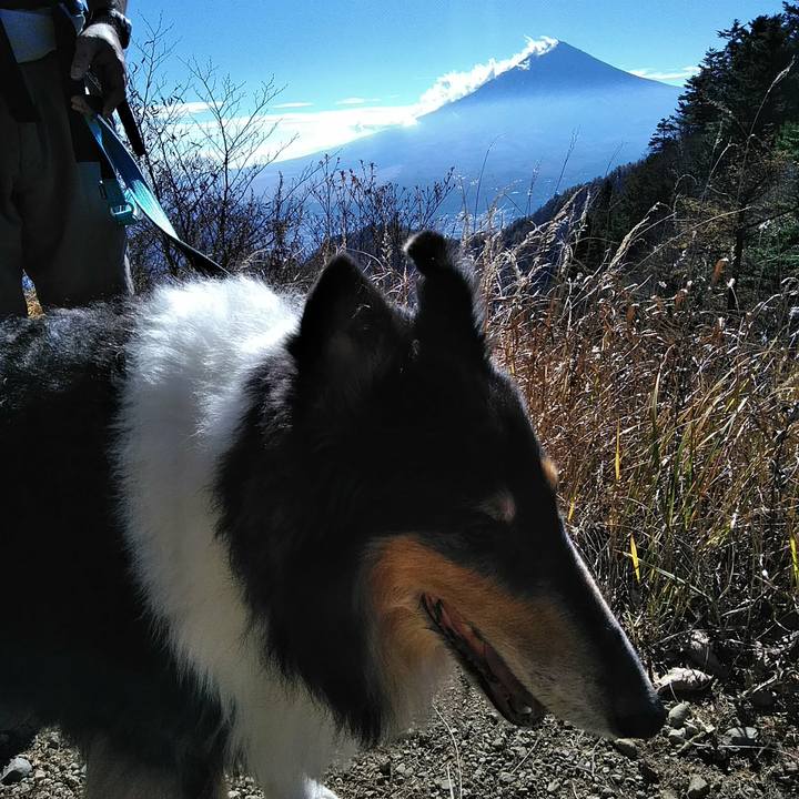 Eed06f17 3087 4cf9 adf0 f983c633e9a0 1509710133620