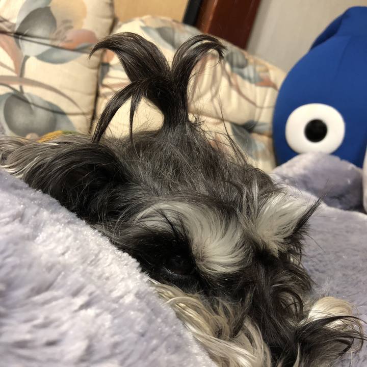 Eed0cdf8 8542 4f62 87e2 c9ade38b6463 1520945629573