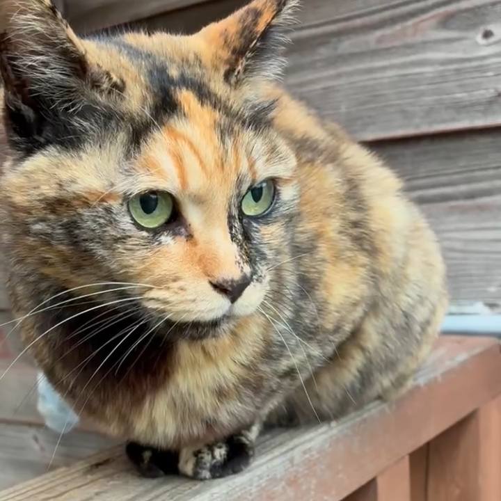 Eed0d427 26c3 447a 8f7f 20ad7cc2f817 1772420540310