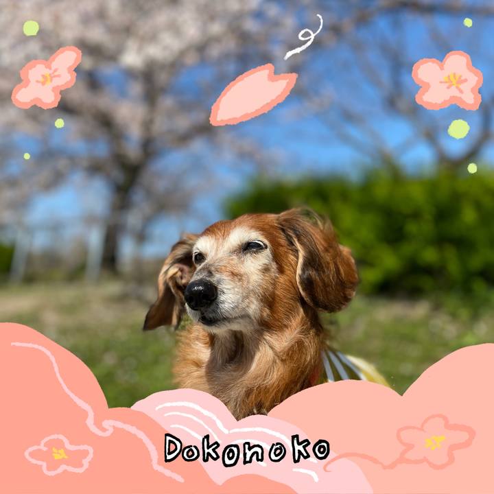 Eed0d662 9339 4040 a889 2a3df8213e9a 1775186096345