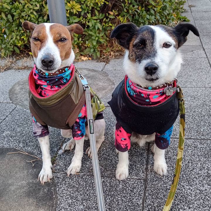 Eed12603 178d 42a4 9935 7c46c3511dfd 1675118001091