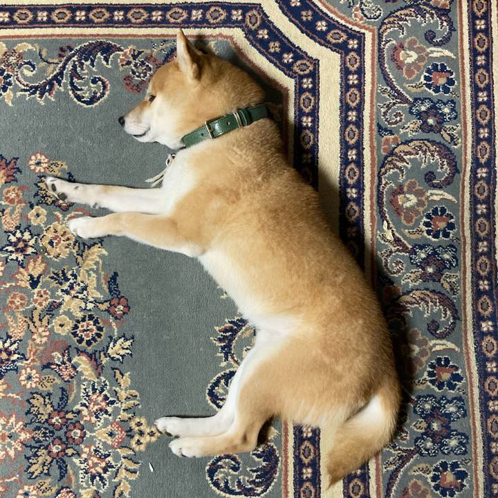 Eed12f1b b35c 45a9 8ea5 4c2fc6022954 1612087293339